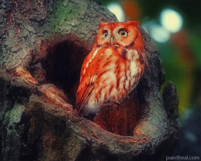Red Owl Painting By Numbers Kits