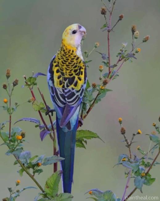 Small Parrot NEW Painting By Numbers Kits
