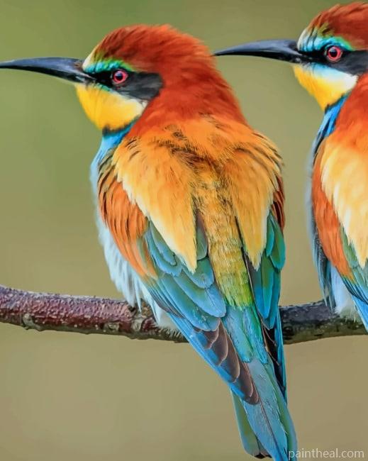 European Bee Eater Painting By Numbers Kits