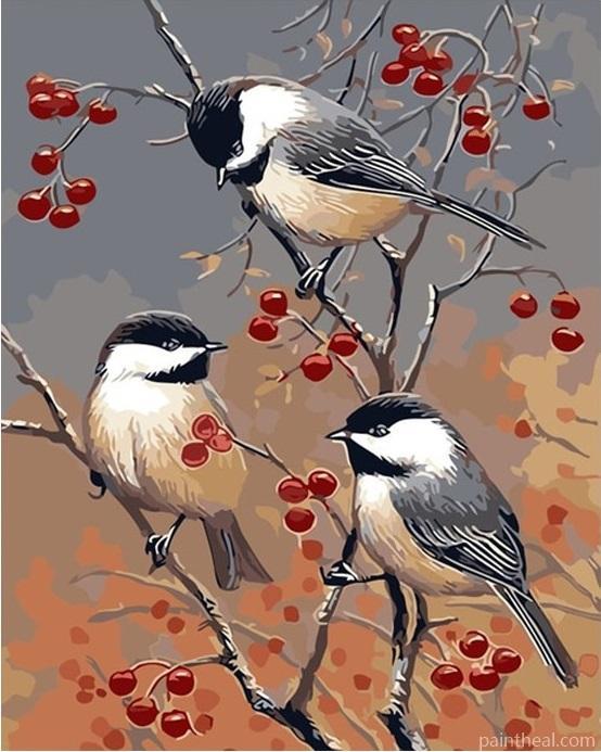 Three Birds Animals Birds Painting By Numbers Kits