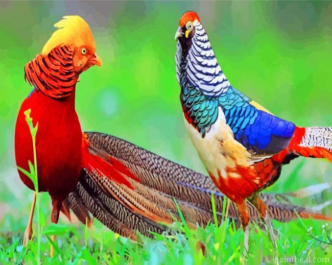Golden Pheasant Birds Painting By Numbers Kits