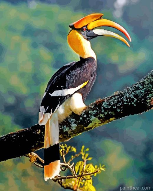 Great Indian Hornbill Painting By Numbers Kits