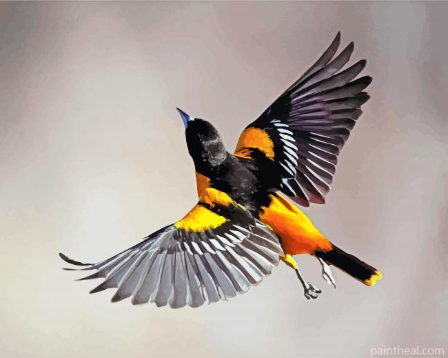 Baltimore Oriole Flying Painting By Numbers Kits