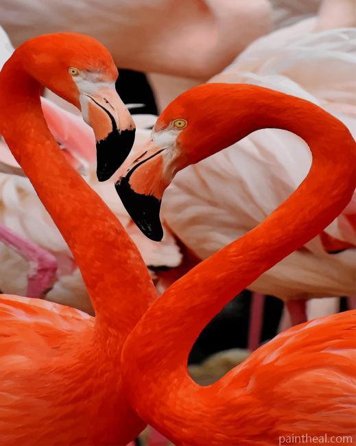 American Flamingo Birds Painting By Numbers Kits