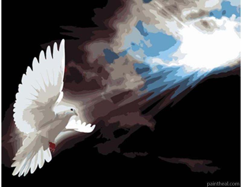 Sunshine Dove Birds Painting By Numbers Kits