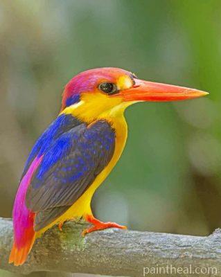 Oriental Dwarf Kingfisher Painting By Numbers Kits