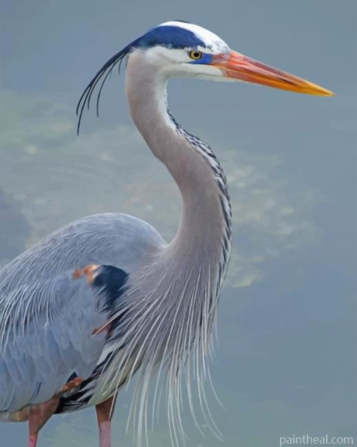 Great Blue Heron Painting By Numbers Kits