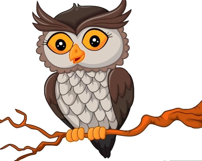 Owl Bird Painting By Numbers Kits
