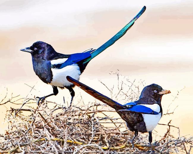Black Billed Magpie Painting By Numbers Kits