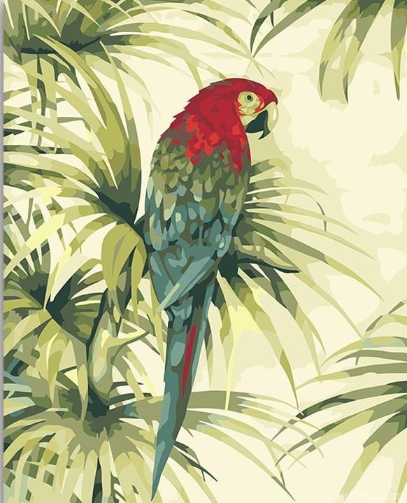 Parrot With Red Head Painting By Numbers Kits