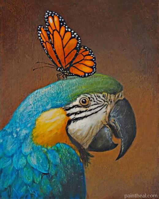 Parrot And Butterfly Painting By Numbers Kits