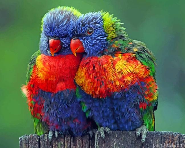 Colorful Birds Painting By Numbers Kits