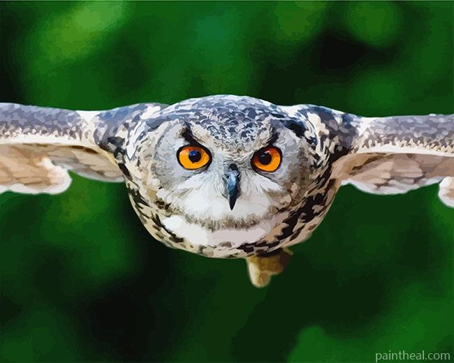 True Owl Painting By Numbers Kits