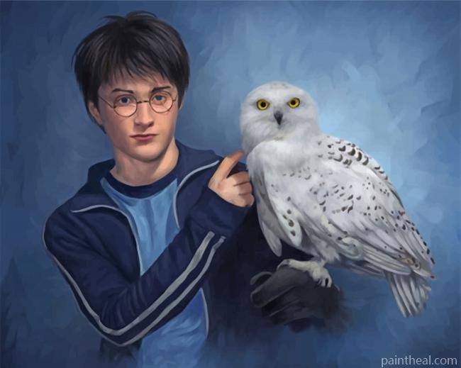 Harry Potter And Companion Hedwig Painting By Numbers Kits