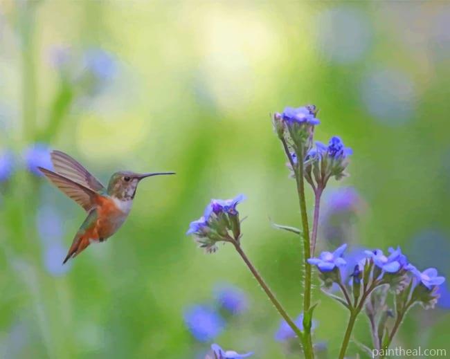 Humming Bird Near Flowers Painting By Numbers Kits