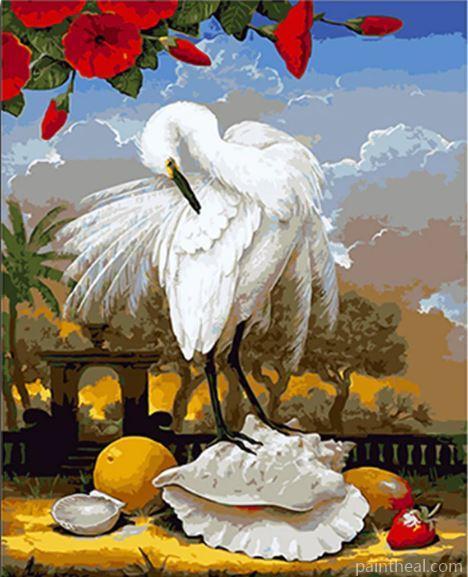 Swan Standing On Seashell Painting By Numbers Kits