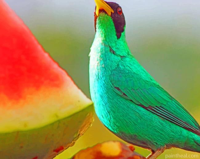 Green Honeycreeper Bird Painting By Numbers Kits
