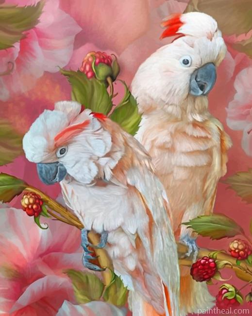 Pink Cockatoo Birds Painting By Numbers Kits
