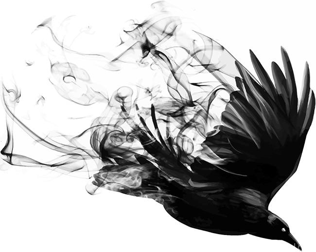 Bird Smoke Painting By Numbers Kits