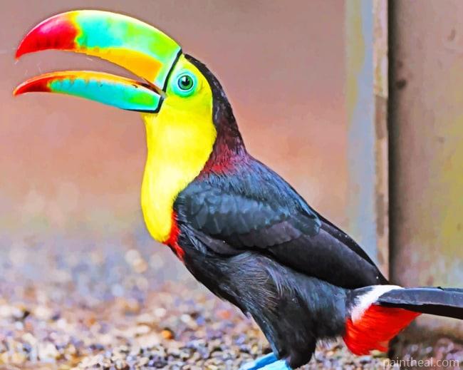 Checkered Toucan Bird Painting By Numbers Kits