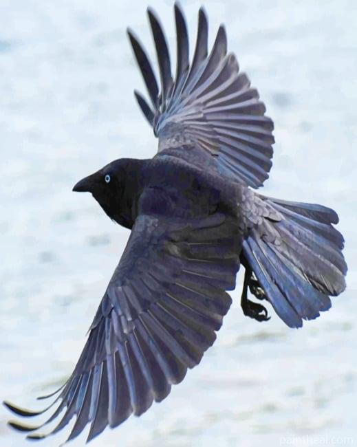 Crow Bird Painting By Numbers Kits