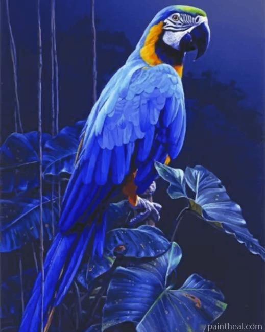 Blue Parrot Painting By Numbers Kits