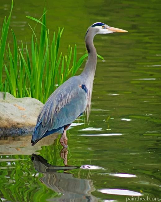 kingfisher Bird Painting By Numbers Kits