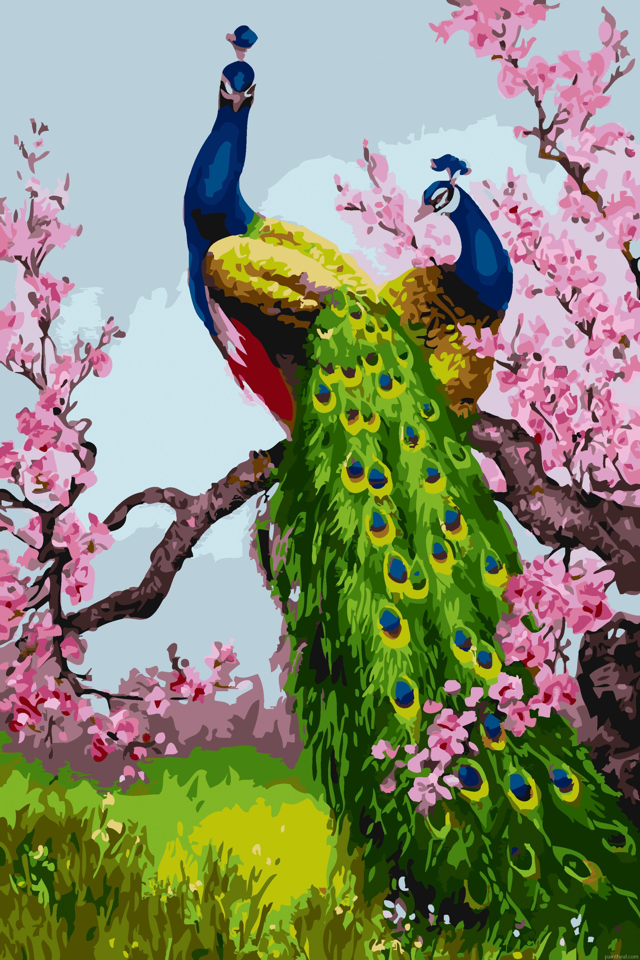 Peacocks On Cherry Blossom Painting By Numbers Kits