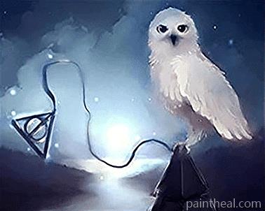 Fantasy Owl Painting By Numbers Kits