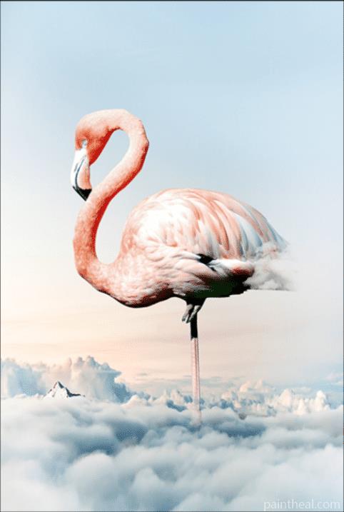 Flamingo On Clouds Painting By Numbers Kits