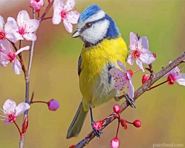 Blue Tit In Spring Painting By Numbers Kits