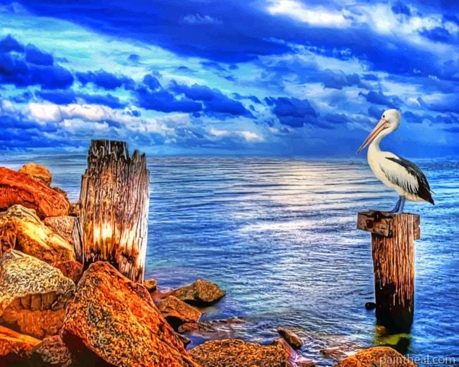 Ocean Pelican Painting By Numbers Kits