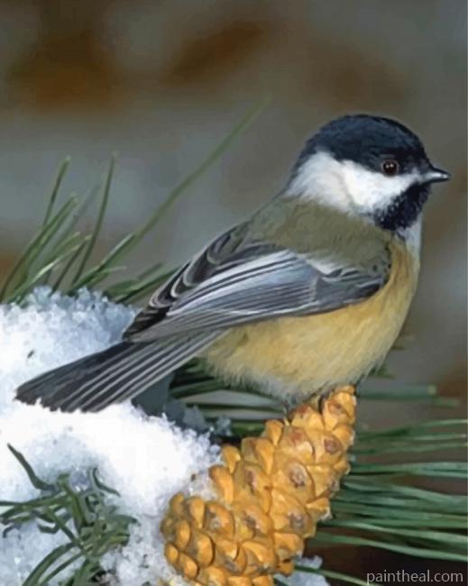 Black Capped Chickadee Painting By Numbers Kits