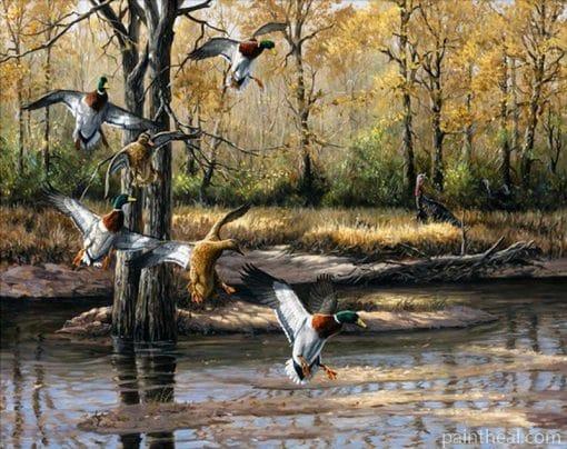 Wild Ducks Painting By Numbers Kits