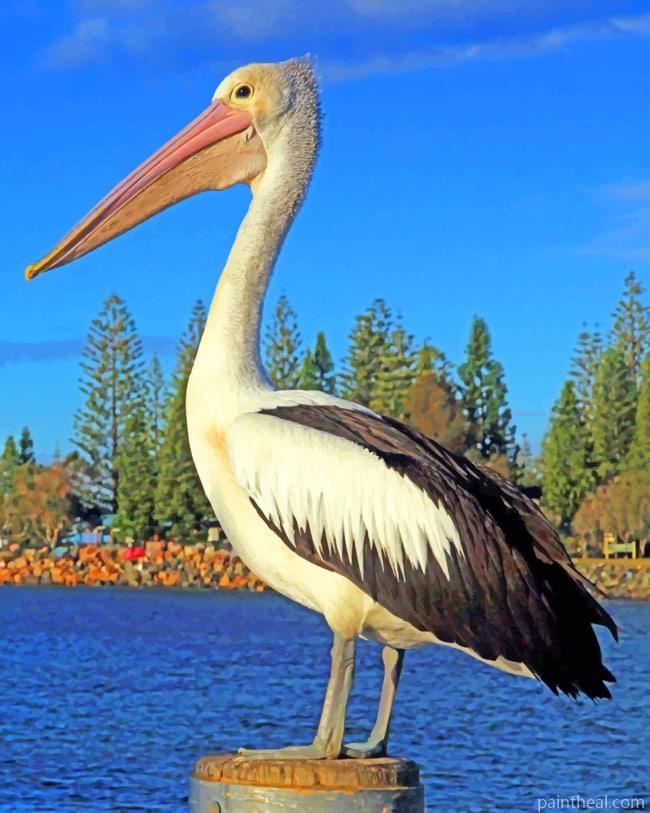 Lone Pelican Painting By Numbers Kits