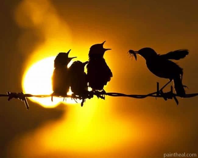 Birds Silhouette Painting By Numbers Kits