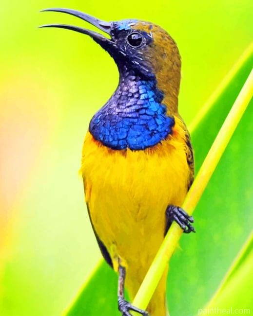 Yellow and Blue Woodpecker Bird Painting By Numbers Kits