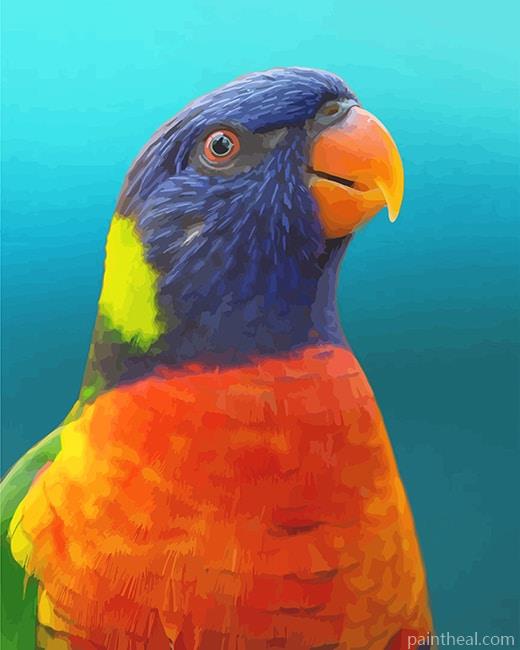 Colorful Lorikeet Painting By Numbers Kits