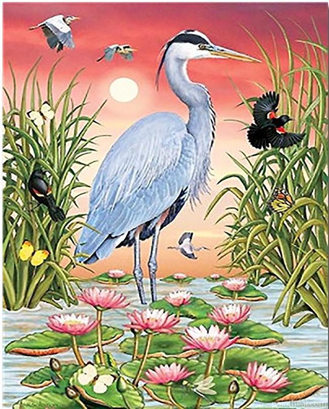 Grey Heron Bird Painting By Numbers Kits