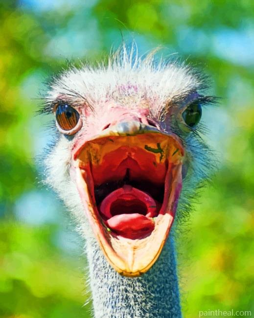 Grey Ostrich Bird Painting By Numbers Kits