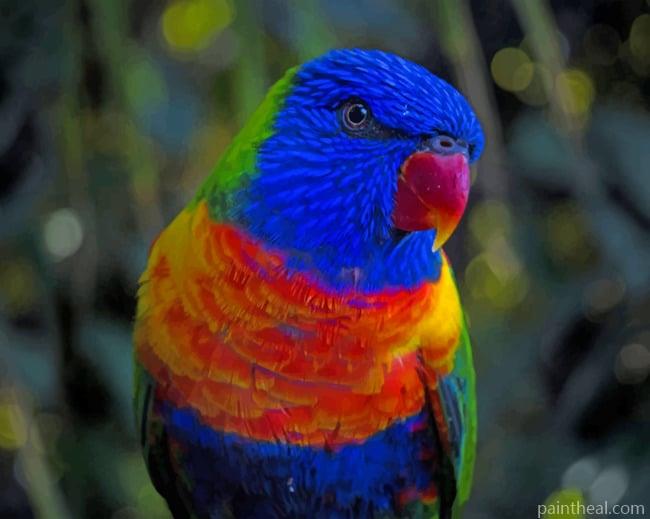 Colorful Parrot Painting By Numbers Kits