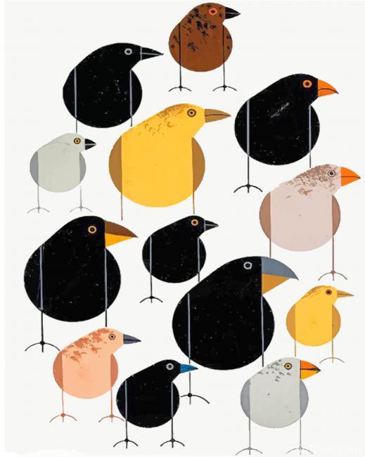 Birds Charley Harper Painting By Numbers Kits