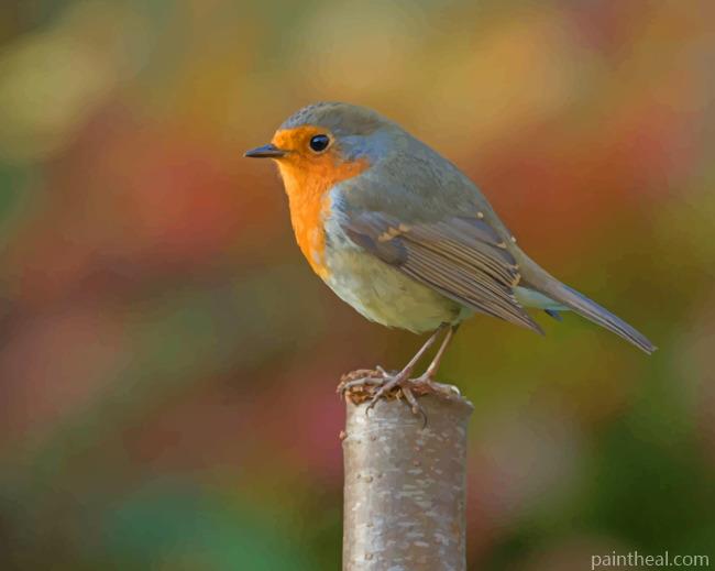 Silver And Yellow Robin Bird Painting By Numbers Kits