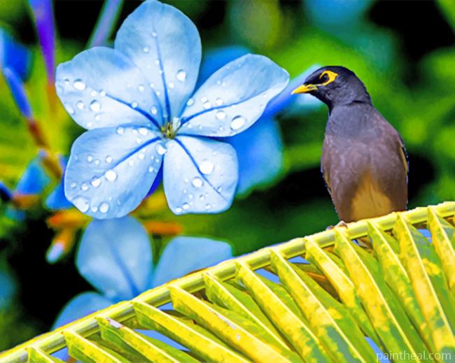 Blue Poppy And Bird Painting By Numbers Kits