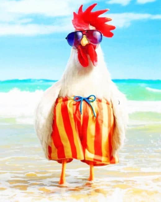 Funny Rooster Painting By Numbers Kits