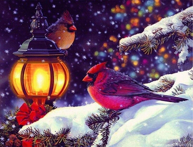 Northern Cardinal Birds in Snow Painting By Numbers Kits
