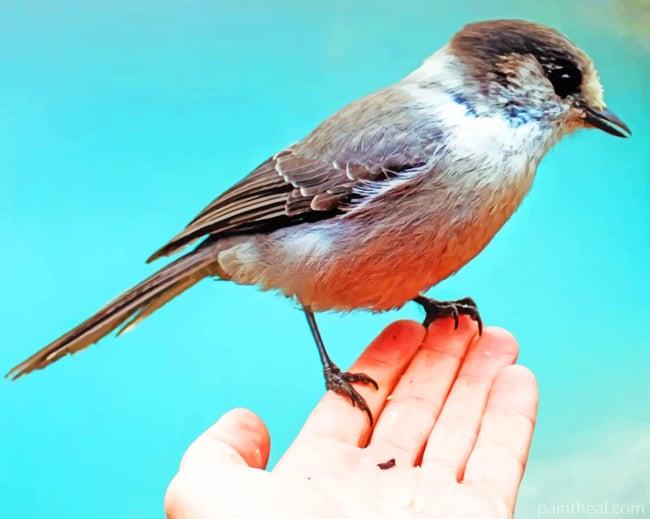 Sparrow Bird In Hand Painting By Numbers Kits
