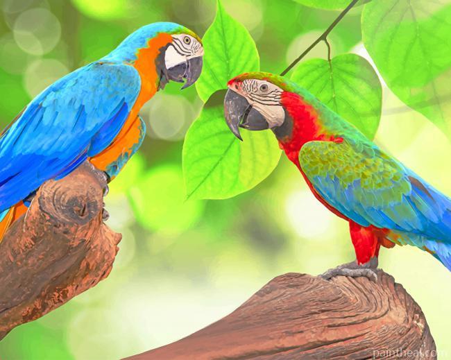 Parrot Birds Painting By Numbers Kits