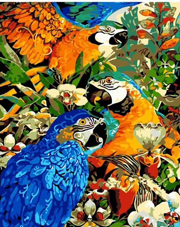 Macaw Parrots Birds Painting By Numbers Kits