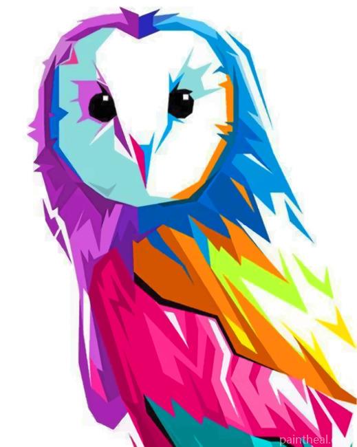 Colorful Pop Art Owl Painting By Numbers Kits